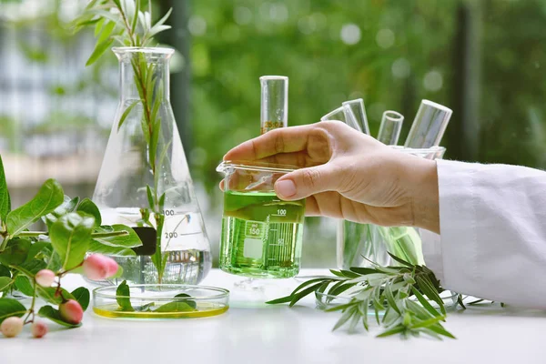 Wissenschaftler mit natürlicher Arzneimittelforschung, natürlicher biologischer und wissenschaftlicher Gewinnung in Gläsern, alternativer grüner Kräutermedizin, natürlichen Hautpflegeprodukten, Labor- und Entwicklungskonzept. — Stockfoto