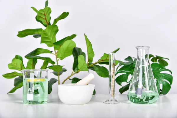 Natural Drug Research Plant Extraction Scientific Glassware Alternative Green Herb — Stock Photo, Image