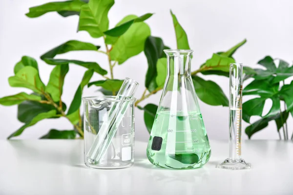 Naturalne Badania Leków Ekstrakcja Roślin Naukowych Wyrobów Szklanych Alternatywne Zielone — Zdjęcie stockowe