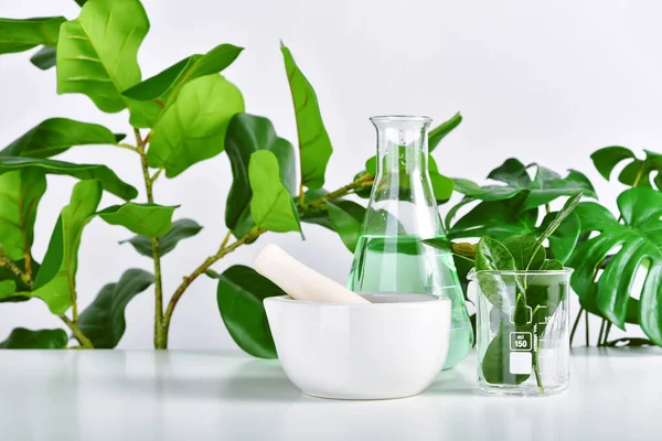 Natural Drug Research Plant Extraction Scientific Glassware Alternative Green Herb — Stock Photo, Image