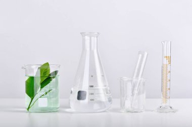 Doğal organik özüt ve yeşil bitkisel yapraklar, laboratuarda bilimsel cam eşyalar..
