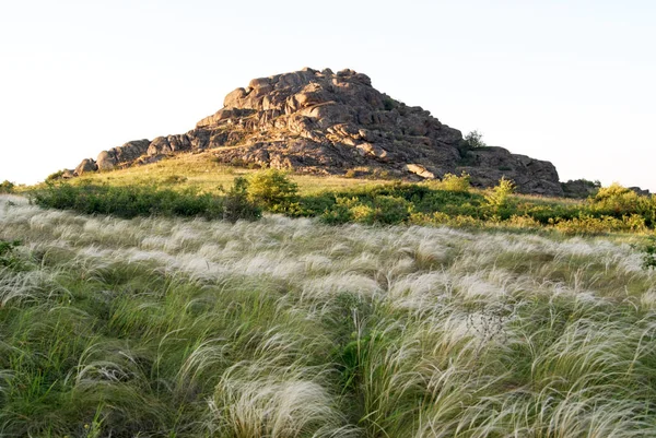 Steppenfedergras mit dem Berg am Horizont — Stockfoto