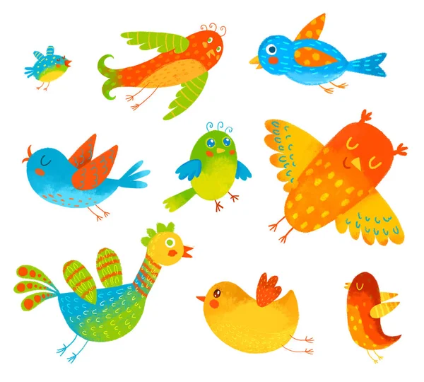 Смешные разноцветные птицы — стоковое фото