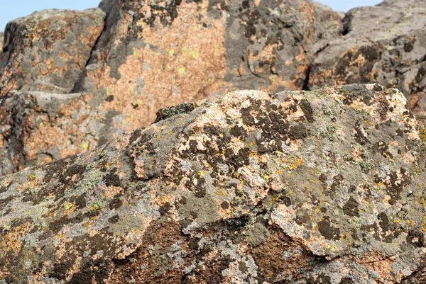 Lichens Sur Granit Rose Gros Plan Texture — Photo