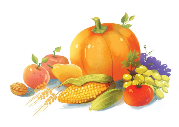 Bodegón Otoño Frutas Verduras Ilustración Dibujo Mano Aislado Sobre Fondo —  Fotos de Stock