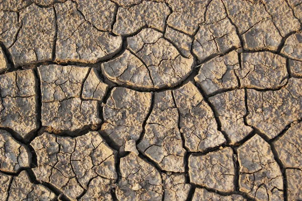 Salt Marshes Dry Cracked Earth Close — Stock Photo, Image