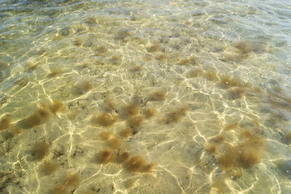 Морская Вода Отражающая Солнце Волнистый Водный Фон — стоковое фото