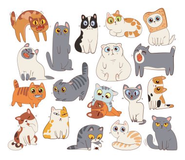 Farklı kedi cinsleri. Komik çizgi film karakteri. Vektör çizimi. Beyaz arkaplanda izole