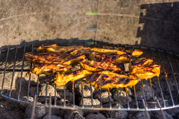 Kuřecí Prsní Steak Kladen Horký Gril Grilování Masa Ohni Letní — Stock fotografie