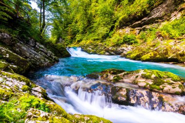 Vintgar gorge, Slovenya. Nehir kenarında Bled Gölü ile ahşap turistik yolları, köprüler nehir ve şelaleler yukarıda. Triglav Ulusal park'da yürüyüş. Ormanın içinde taze doğa, mavi su. Yabani ağaçlar.
