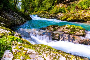 Vintgar gorge, Slovenya. Nehir kenarında Bled Gölü ile ahşap turistik yolları, köprüler nehir ve şelaleler yukarıda. Triglav Ulusal park'da yürüyüş. Ormanın içinde taze doğa, mavi su. Yabani ağaçlar.