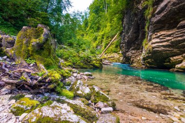 Vintgar gorge, Slovenya. Nehir kenarında Bled Gölü ile ahşap turistik yolları, köprüler nehir ve şelaleler yukarıda. Triglav Ulusal park'da yürüyüş. Ormanın içinde taze doğa, mavi su. Yabani ağaçlar.