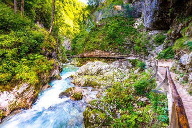 Vintgar gorge, Slovenya. Nehir kenarında Bled Gölü ile ahşap turistik yolları, köprüler nehir ve şelaleler yukarıda. Triglav Ulusal park'da yürüyüş. Ormanın içinde taze doğa, mavi su. Yabani ağaçlar.