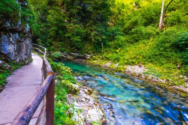 Vintgar gorge, Slovenya. Nehir kenarında Bled Gölü ile ahşap turistik yolları, köprüler nehir ve şelaleler yukarıda. Triglav Ulusal park'da yürüyüş. Ormanın içinde taze doğa, mavi su. Yabani ağaçlar.