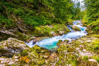 Vintgar gorge, Slovenya. Nehir kenarında Bled Gölü ile ahşap turistik yolları, köprüler nehir ve şelaleler yukarıda. Triglav Ulusal park'da yürüyüş. Ormanın içinde taze doğa, mavi su. Yabani ağaçlar.