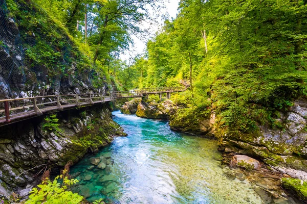 Vintgar gorge, Slovenya. Nehir kenarında Bled Gölü ile ahşap turistik yolları, köprüler nehir ve şelaleler yukarıda. Triglav Ulusal park'da yürüyüş. Ormanın içinde taze doğa, mavi su. Yabani ağaçlar.