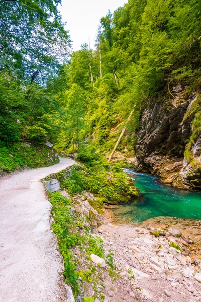 Desfiladeiro Vintgar Eslovénia Rio Perto Lago Bled Com Caminhos Turísticos — Fotografia de Stock