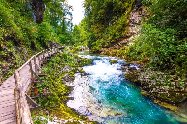 Vintgar gorge, Slovenya. Nehir kenarında Bled Gölü ile ahşap turistik yolları, köprüler nehir ve şelaleler yukarıda. Triglav Ulusal park'da yürüyüş. Ormanın içinde taze doğa, mavi su. Yabani ağaçlar.