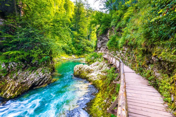 Vintgar gorge, Slovenya. Nehir kenarında Bled Gölü ile ahşap turistik yolları, köprüler nehir ve şelaleler yukarıda. Triglav Ulusal park'da yürüyüş. Ormanın içinde taze doğa, mavi su. Yabani ağaçlar.