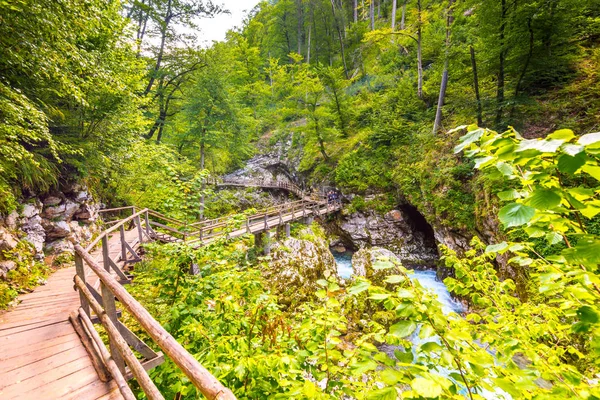 Desfiladeiro Vintgar Eslovénia Rio Perto Lago Bled Com Caminhos Turísticos — Fotografia de Stock