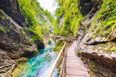 Vintgar gorge, Slovenya. Radovna Nehri ile ahşap yolları ve köprü yukarıdaki. Güzel su Nehri Triglav Ulusal Park. Şelale, orman ve taze doğa vegetaion. Turistik yolları ve yürüyüş..