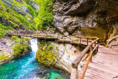 Vintgar gorge, Slovenya. Radovna Nehri ile ahşap yolları ve köprü yukarıdaki. Güzel su Nehri Triglav Ulusal Park. Şelale, orman ve taze doğa vegetaion. Turistik yolları ve yürüyüş..