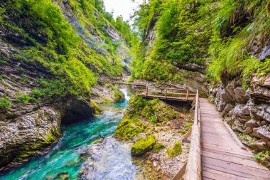 Vintgar gorge, Slovenya. Radovna Nehri ile ahşap yolları ve köprü yukarıdaki. Güzel su Nehri Triglav Ulusal Park. Şelale, orman ve taze doğa vegetaion. Turistik yolları ve yürüyüş..