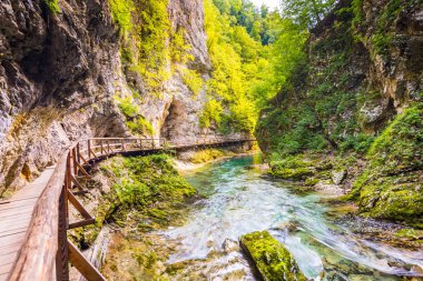 Vintgar gorge, Slovenya. Radovna Nehri ile ahşap yolları ve köprü yukarıdaki. Güzel su Nehri Triglav Ulusal Park. Şelale, orman ve taze doğa vegetaion. Turistik yolları ve yürüyüş..