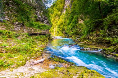 Vintgar gorge, Slovenya. Radovna Nehri ile ahşap yolları ve köprü yukarıdaki. Güzel su Nehri Triglav Ulusal Park. Şelale, orman ve taze doğa vegetaion. Turistik yolları ve yürüyüş..