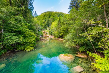 Slovenya, Triglav Ulusal Parkı Vintgar gorge şelale. Güzel doğa ve orman saf taze su. Şelalenin yakınındaki turistik yolları