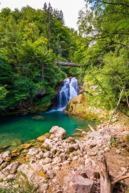 Slovenya, Triglav Ulusal Parkı Vintgar gorge şelale. Güzel doğa ve orman saf taze su. Şelalenin yakınındaki turistik yolları