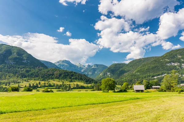 Weide Weide Slovenië Groen Gras Grasland House Julian Alpen Achtergrond — Stockfoto