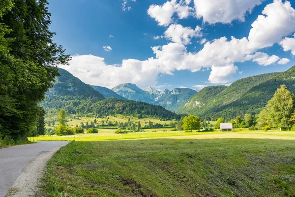 Weide Weide Slovenië Groen Gras Grasland House Julian Alpen Achtergrond — Stockfoto