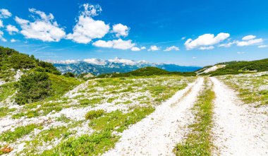 Turist yolu Vogel yakınındaki Slovenya dağlarda. Dağ, yeşil çimen, ağaçları, mavi gökyüzü üst yolu. Avrupa'da hiking. Triglav Ulusal Parkı, Julian Alps