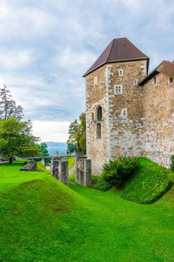 Ljubljana Kalesi. Tarihi Ortaçağ bina park çevresinde ile. Eski Slovenya kale center Slovenya başkenti.