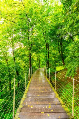 Park yolu Ljubljana castle Park