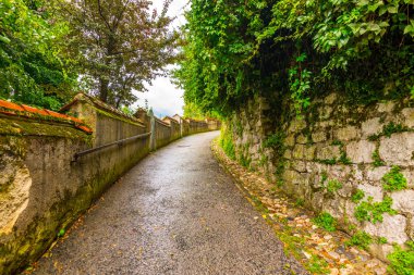 Ljubljana Kalesi parkta ağaç ve taş yolu