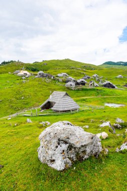 Slovenya velika planina (büyük Yaylası), tarım mera arazi şehir Sloven Alpleri'nde Kamnik yakınlarında. Yeşil arazi herdsmen tarafından kullanılan ahşap evler. Dağ köyü ile büyük mera Yaylası