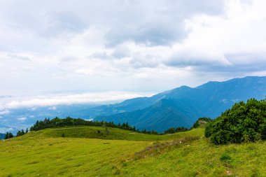 Slovenya Alps etmek görünümüne şehir Kamnik yakınlarında. Mera ve ahşap evler büyük Yaylası. Yeşil çim ve bulutların üzerinde tepeden manzara