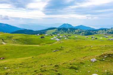 Slovenya velika planina (büyük Yaylası), tarım mera arazi şehir Sloven Alpleri'nde Kamnik yakınlarında. Yeşil arazi herdsmen tarafından kullanılan ahşap evler. Dağ köyü ile büyük mera Yaylası
