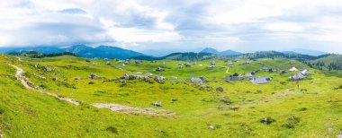 Slovenya velika planina (büyük Yaylası), tarım mera arazi şehir Sloven Alpleri'nde Kamnik yakınlarında. Yeşil arazi herdsmen tarafından kullanılan ahşap evler. Dağ köyü ile büyük mera Yaylası