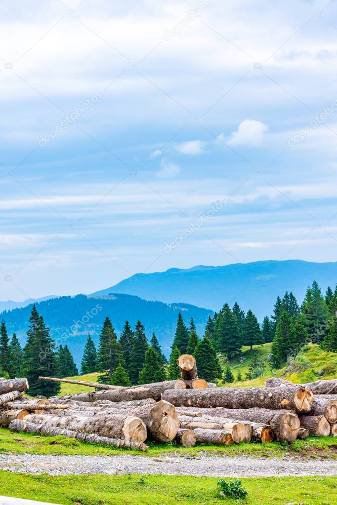 Felled trees near pasture in Slovenia Alps, city Kamnik. Wood in foreground, forest and mountains in background.