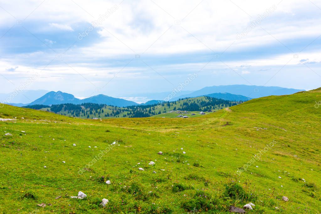 Slovenia velika planina (big plateau), agriculture pasture land near city Kamnik in Slovenian Alps. Wooden houses on green land used by herdsmen. Mountain village with big pasture plateau
