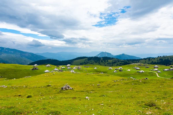 Slovenië Bergen Buurt Van Stad Kamnik Velika Planina Grasland Weergave — Stockfoto