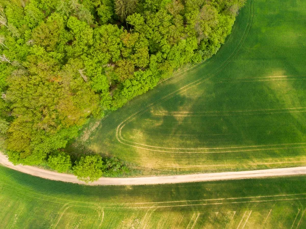 Luchtfoto van landbouw velden, weide en weg binnen. Landelijke scène van het platteland. Frisse groene kleuren, kijk naar boven boom. Dag op de lente na regen — Stockfoto