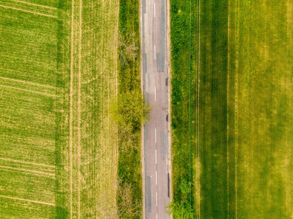 Luchtfoto van landbouw velden, weide en weg binnen. Landelijke scène van het platteland. Frisse groene kleuren, kijk naar boven boom. Dag op de lente na regen — Stockfoto
