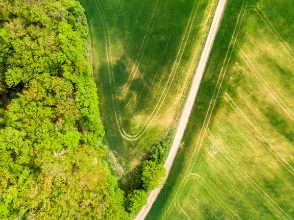 Luchtfoto van landbouw velden, weide en weg binnen. Landelijke scène van het platteland. Frisse groene kleuren, kijk naar boven boom. Dag op de lente na regen — Stockfoto