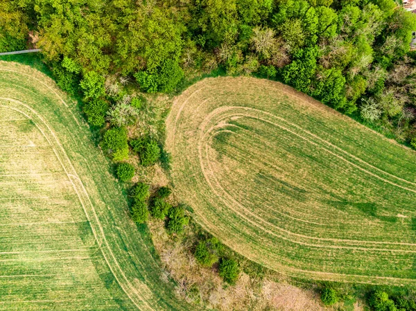 Luchtfoto drone uitzicht op veld, bomen en bos in landbouwgrond. Top look naar weide in de buurt van dorp en boerderij. Mooie groene verse gewas op lente dag na regen — Stockfoto