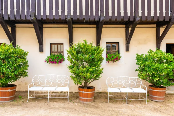 Bench under the window with flower. Big bushes next to the bench with fresh green leaves. Old home building in Europe, vintage exterior style