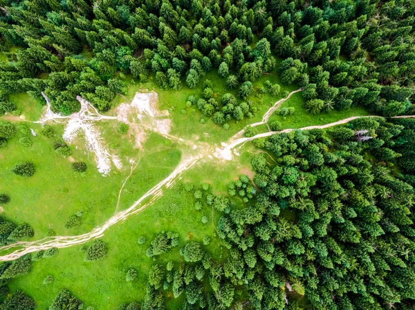 Bovenaanzicht van de luchtfoto van het bos, bomen en toeristische paden in Slowakije nationaal park Mala Fatra. Levendige kleuren, frisse natuur en prachtig bos — Stockfoto